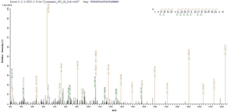 Based on the SEQUEST from database of E.coli host and target protein, the LC-MS/MS Analysis result of this product could indicate that this peptide derived from E.coli-expressed Porcine circovirus 2 (PCV2) Cap.