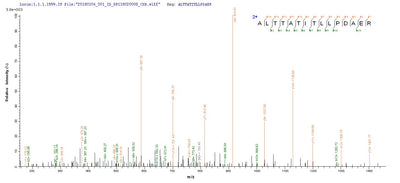 Based on the SEQUEST from database of E.coli host and target protein, the LC-MS/MS Analysis result of this product could indicate that this peptide derived from E.coli-expressed Rotavirus A (strain RVA/Human/United Kingdom/ST3/1975/G4P2A[6]) (RV-A) (Rotavirus A (strain St. Thomas 3)) N/A.