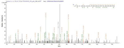 Based on the SEQUEST from database of E.coli host and target protein, the LC-MS/MS Analysis result of this product could indicate that this peptide derived from E.coli-expressed Shigella flexneri fliC.