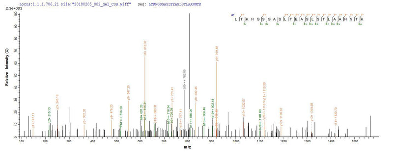 Based on the SEQUEST from database of E.coli host and target protein, the LC-MS/MS Analysis result of this product could indicate that this peptide derived from E.coli-expressed Shigella flexneri fliC.