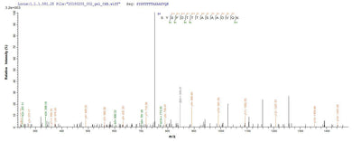 Based on the SEQUEST from database of E.coli host and target protein, the LC-MS/MS Analysis result of this product could indicate that this peptide derived from E.coli-expressed Shigella flexneri fliC.