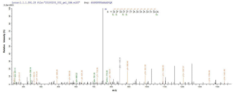 Based on the SEQUEST from database of E.coli host and target protein, the LC-MS/MS Analysis result of this product could indicate that this peptide derived from E.coli-expressed Shigella flexneri fliC.