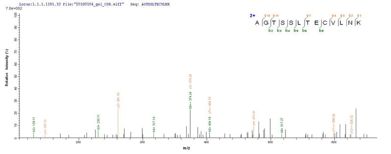 Based on the SEQUEST from database of E.coli host and target protein, the LC-MS/MS Analysis result of this product could indicate that this peptide derived from E.coli-expressed Homo sapiens (Human) IL15RA.