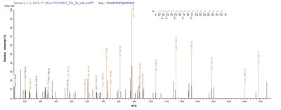 Based on the SEQUEST from database of E.coli host and target protein, the LC-MS/MS Analysis result of this product could indicate that this peptide derived from E.coli-expressed Homo sapiens (Human) IKZF1.