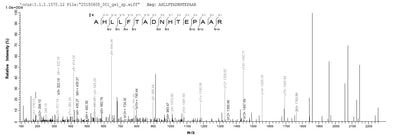 Based on the SEQUEST from database of E.coli host and target protein, the LC-MS/MS Analysis result of this product could indicate that this peptide derived from E.coli-expressed Homo sapiens (Human) IHH.