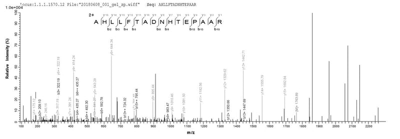 Based on the SEQUEST from database of E.coli host and target protein, the LC-MS/MS Analysis result of this product could indicate that this peptide derived from E.coli-expressed Homo sapiens (Human) IHH.