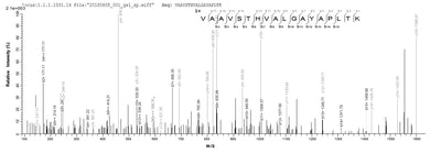 Based on the SEQUEST from database of E.coli host and target protein, the LC-MS/MS Analysis result of this product could indicate that this peptide derived from E.coli-expressed Homo sapiens (Human) IHH.