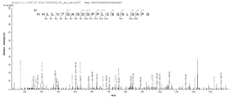 Based on the SEQUEST from database of E.coli host and target protein, the LC-MS/MS Analysis result of this product could indicate that this peptide derived from E.coli-expressed Epstein-Barr virus (strain AG876) (HHV-4) (Human herpesvirus 4) LMP1.