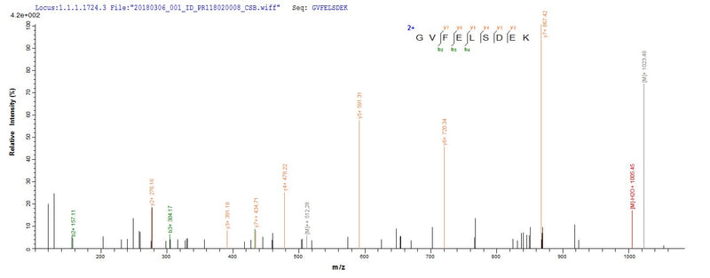 Based on the SEQUEST from database of E.coli host and target protein, the LC-MS/MS Analysis result of this product could indicate that this peptide derived from E.coli-expressed Influenza A virus (strain A/Port Chalmers/1/1973 H3N2) NP.