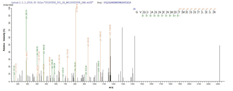 Based on the SEQUEST from database of E.coli host and target protein, the LC-MS/MS Analysis result of this product could indicate that this peptide derived from E.coli-expressed Influenza A virus (strain A/Port Chalmers/1/1973 H3N2) NP.