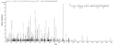 Based on the SEQUEST from database of E.coli host and target protein, the LC-MS/MS Analysis result of this product could indicate that this peptide derived from E.coli-expressed Mus musculus (Mouse) Cd163.