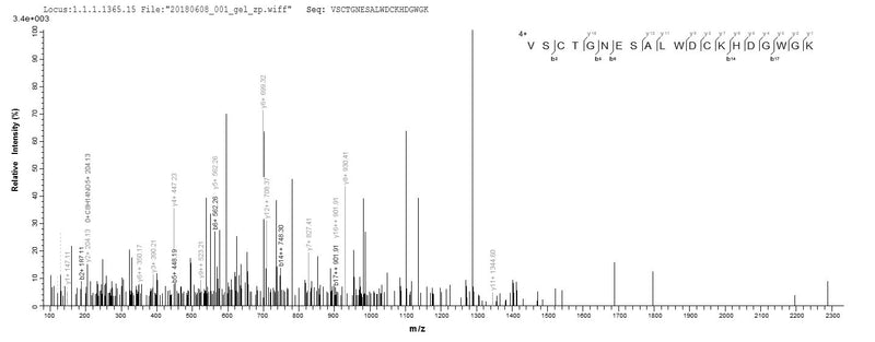 Based on the SEQUEST from database of E.coli host and target protein, the LC-MS/MS Analysis result of this product could indicate that this peptide derived from E.coli-expressed Mus musculus (Mouse) Cd163.