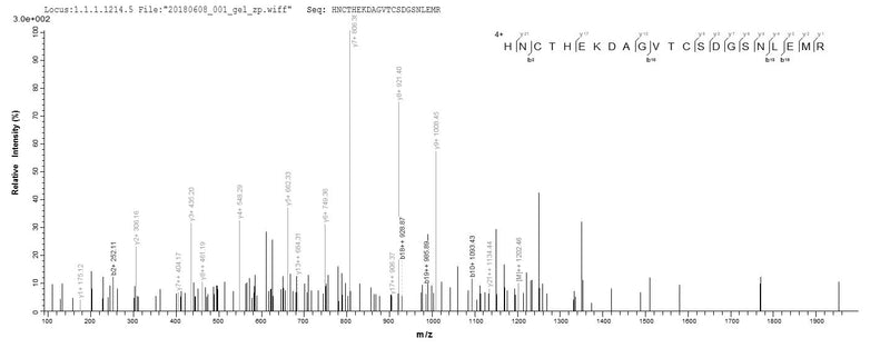 Based on the SEQUEST from database of E.coli host and target protein, the LC-MS/MS Analysis result of this product could indicate that this peptide derived from E.coli-expressed Mus musculus (Mouse) Cd163.