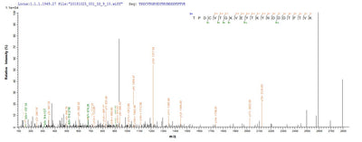 Based on the SEQUEST from database of E.coli host and target protein, the LC-MS/MS Analysis result of this product could indicate that this peptide derived from E.coli-expressed Shigella dysenteriae serotype 1 (strain Sd197) stxB.