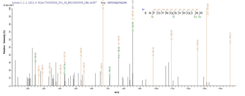 Based on the SEQUEST from database of E.coli host and target protein, the LC-MS/MS Analysis result of this product could indicate that this peptide derived from E.coli-expressed Streptococcus pyogenes serotype M28 (strain MGAS6180) speB.