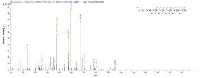 Based on the SEQUEST from database of E.coli host and target protein, the LC-MS/MS Analysis result of this product could indicate that this peptide derived from E.coli-expressed Streptococcus pyogenes serotype M28 (strain MGAS6180) speB.