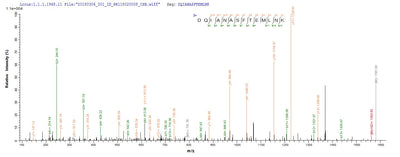 Based on the SEQUEST from database of E.coli host and target protein, the LC-MS/MS Analysis result of this product could indicate that this peptide derived from E.coli-expressed Staphylococcus aureus (strain COL) prsA.