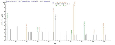 Based on the SEQUEST from database of E.coli host and target protein, the LC-MS/MS Analysis result of this product could indicate that this peptide derived from E.coli-expressed Rattus norvegicus (Rat) Cd300lf.