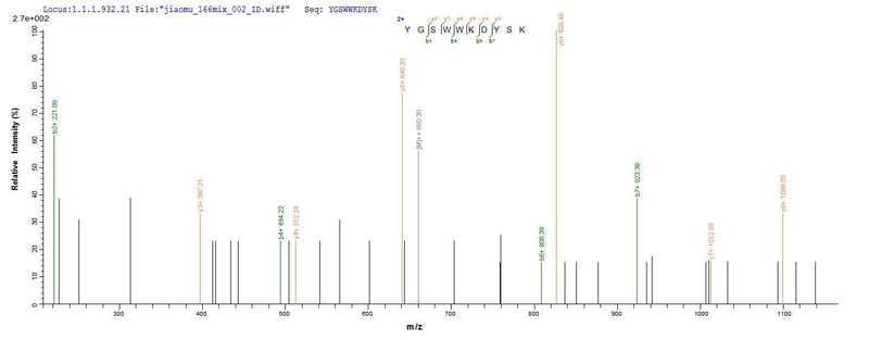 Based on the SEQUEST from database of E.coli host and target protein, the LC-MS/MS Analysis result of this product could indicate that this peptide derived from E.coli-expressed Rattus norvegicus (Rat) Cd300lf.