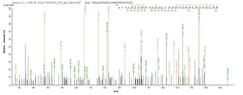 Based on the SEQUEST from database of E.coli host and target protein, the LC-MS/MS Analysis result of this product could indicate that this peptide derived from E.coli-expressed Homo sapiens (Human) CT83.