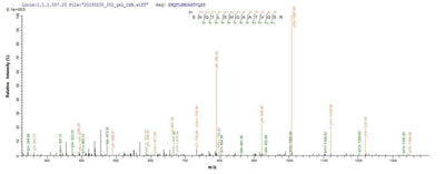 Based on the SEQUEST from database of E.coli host and target protein, the LC-MS/MS Analysis result of this product could indicate that this peptide derived from E.coli-expressed Homo sapiens (Human) FCRL6.