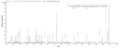 Based on the SEQUEST from database of E.coli host and target protein, the LC-MS/MS Analysis result of this product could indicate that this peptide derived from E.coli-expressed Mus musculus (Mouse) Adipoq.