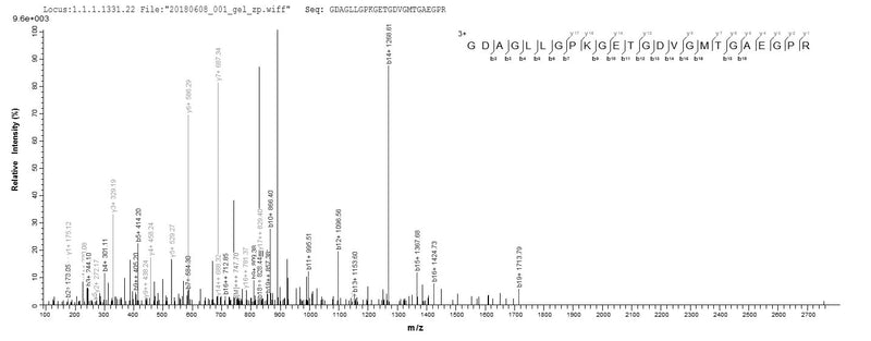 Based on the SEQUEST from database of E.coli host and target protein, the LC-MS/MS Analysis result of this product could indicate that this peptide derived from E.coli-expressed Mus musculus (Mouse) Adipoq.