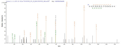 Based on the SEQUEST from database of E.coli host and target protein, the LC-MS/MS Analysis result of this product could indicate that this peptide derived from E.coli-expressed Streptococcus pyogenes serotype M6 (strain ATCC BAA-946 / MGAS10394) rplL.