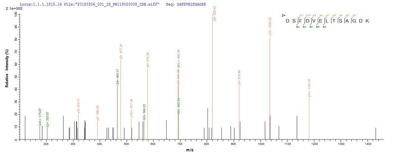 Based on the SEQUEST from database of E.coli host and target protein, the LC-MS/MS Analysis result of this product could indicate that this peptide derived from E.coli-expressed Streptococcus pyogenes serotype M6 (strain ATCC BAA-946 / MGAS10394) rplL.