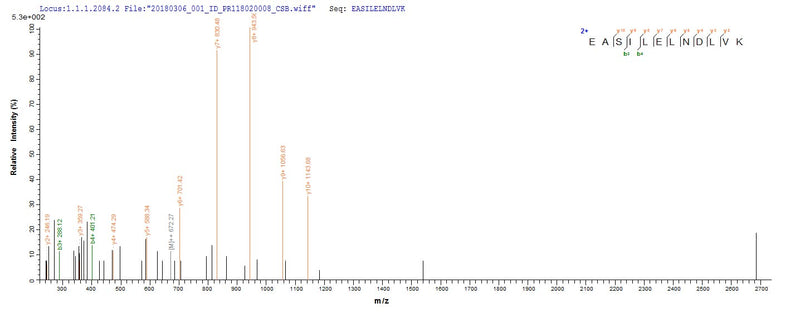 Based on the SEQUEST from database of E.coli host and target protein, the LC-MS/MS Analysis result of this product could indicate that this peptide derived from E.coli-expressed Streptococcus pyogenes serotype M6 (strain ATCC BAA-946 / MGAS10394) rplL.