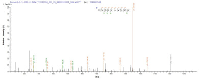 Based on the SEQUEST from database of E.coli host and target protein, the LC-MS/MS Analysis result of this product could indicate that this peptide derived from E.coli-expressed Staphylococcus aureus (strain MRSA252) hlgC.