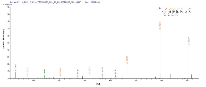 Based on the SEQUEST from database of E.coli host and target protein, the LC-MS/MS Analysis result of this product could indicate that this peptide derived from E.coli-expressed Staphylococcus aureus (strain MRSA252) acpS.