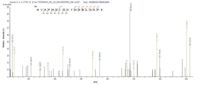 Based on the SEQUEST from database of E.coli host and target protein, the LC-MS/MS Analysis result of this product could indicate that this peptide derived from E.coli-expressed Staphylococcus aureus (strain MRSA252) acpS.