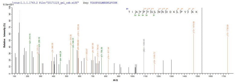 Based on the SEQUEST from database of E.coli host and target protein, the LC-MS/MS Analysis result of this product could indicate that this peptide derived from E.coli-expressed Staphylococcus aureus (strain N315) icaB.