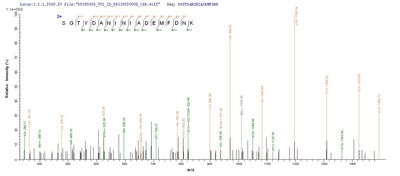 Based on the SEQUEST from database of E.coli host and target protein, the LC-MS/MS Analysis result of this product could indicate that this peptide derived from E.coli-expressed Staphylococcus aureus (strain MRSA252) clfB.