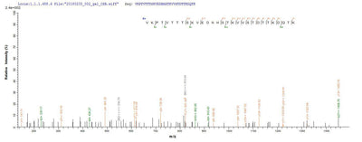 Based on the SEQUEST from database of E.coli host and target protein, the LC-MS/MS Analysis result of this product could indicate that this peptide derived from E.coli-expressed Staphylococcus aureus (strain MSSA476) isdA.