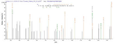 Based on the SEQUEST from database of E.coli host and target protein, the LC-MS/MS Analysis result of this product could indicate that this peptide derived from E.coli-expressed Mus musculus (Mouse) Il31ra.