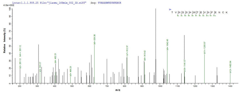 Based on the SEQUEST from database of E.coli host and target protein, the LC-MS/MS Analysis result of this product could indicate that this peptide derived from E.coli-expressed Mus musculus (Mouse) Il31ra.