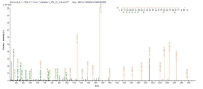 Based on the SEQUEST from database of E.coli host and target protein, the LC-MS/MS Analysis result of this product could indicate that this peptide derived from E.coli-expressed Human herpesvirus 1 (strain KOS) (HHV-1) (Human herpes simplex virus 1) gL.