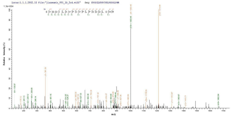 Based on the SEQUEST from database of E.coli host and target protein, the LC-MS/MS Analysis result of this product could indicate that this peptide derived from E.coli-expressed Human herpesvirus 1 (strain KOS) (HHV-1) (Human herpes simplex virus 1) gL.