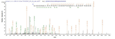 Based on the SEQUEST from database of E.coli host and target protein, the LC-MS/MS Analysis result of this product could indicate that this peptide derived from E.coli-expressed Reston ebolavirus (strain Philippines-96) (REBOV) (Reston Ebola virus) NP.