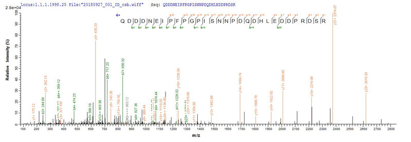 Based on the SEQUEST from database of E.coli host and target protein, the LC-MS/MS Analysis result of this product could indicate that this peptide derived from E.coli-expressed Reston ebolavirus (strain Philippines-96) (REBOV) (Reston Ebola virus) NP.