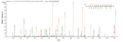 Based on the SEQUEST from database of E.coli host and target protein, the LC-MS/MS Analysis result of this product could indicate that this peptide derived from E.coli-expressed Reston ebolavirus (strain Philippines-96) (REBOV) (Reston Ebola virus) NP.