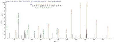 Based on the SEQUEST from database of E.coli host and target protein, the LC-MS/MS Analysis result of this product could indicate that this peptide derived from E.coli-expressed Staphylococcus aureus (strain N315) scn.