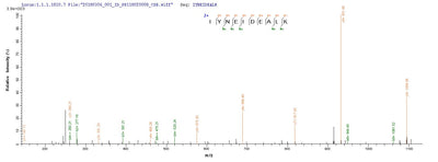 Based on the SEQUEST from database of E.coli host and target protein, the LC-MS/MS Analysis result of this product could indicate that this peptide derived from E.coli-expressed Staphylococcus aureus (strain N315) scn.