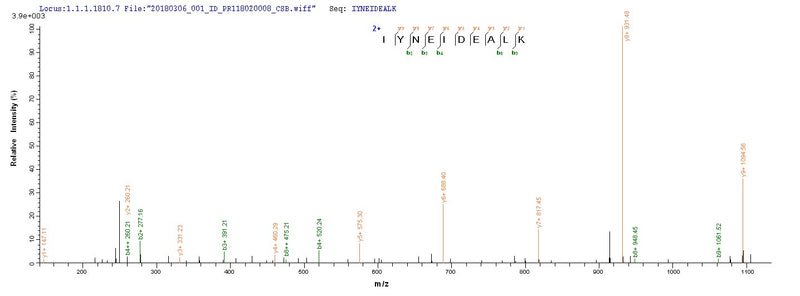 Based on the SEQUEST from database of E.coli host and target protein, the LC-MS/MS Analysis result of this product could indicate that this peptide derived from E.coli-expressed Staphylococcus aureus (strain N315) scn.