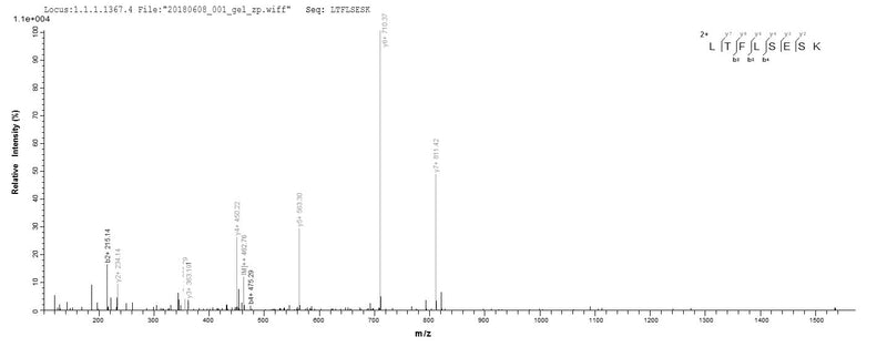 Based on the SEQUEST from database of E.coli host and target protein, the LC-MS/MS Analysis result of this product could indicate that this peptide derived from E.coli-expressed Staphylococcus epidermidis mazF.