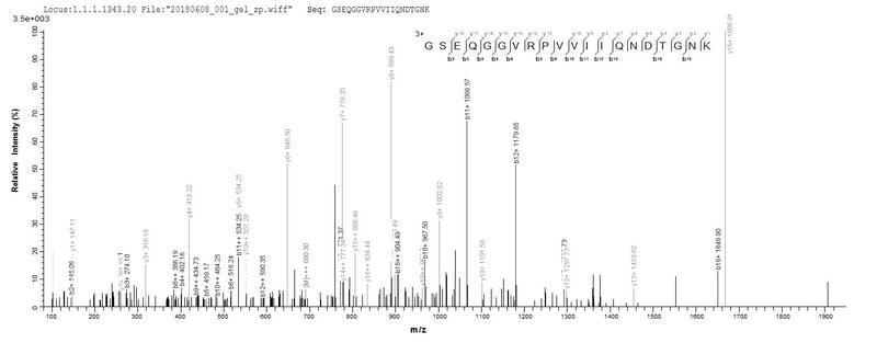 Based on the SEQUEST from database of E.coli host and target protein, the LC-MS/MS Analysis result of this product could indicate that this peptide derived from E.coli-expressed Staphylococcus epidermidis mazF.