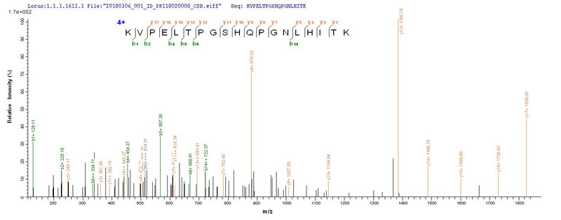 Based on the SEQUEST from database of E.coli host and target protein, the LC-MS/MS Analysis result of this product could indicate that this peptide derived from E.coli-expressed Sudan ebolavirus (strain Boniface-76) (SEBOV) (Sudan Ebola virus) NP.