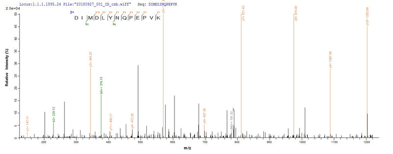 Based on the SEQUEST from database of E.coli host and target protein, the LC-MS/MS Analysis result of this product could indicate that this peptide derived from E.coli-expressed Homo sapiens (Human) IL36A.